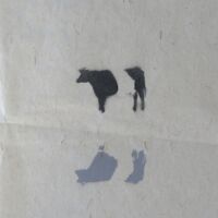 (30 x 40 cm.) spray can