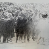 (30 x 40 cm.) charcoal / conté