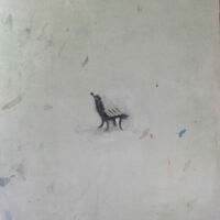 (30 x 30 cm.) spray can