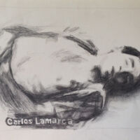 (30 x 40 cm.) charcoal