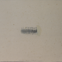 spray can (30 x 40 cm.)