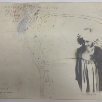 (30 x 25 cm.) mixed media